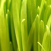 ddos流量攻击购买