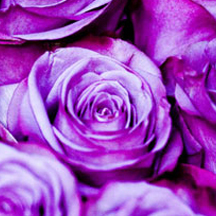 ddos流量攻击购买